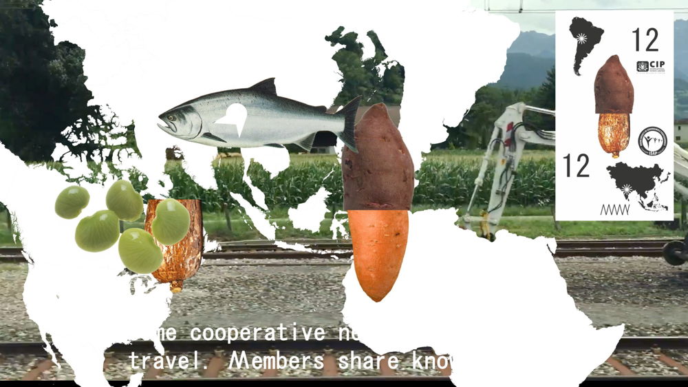 <em>MANY</em>, 2018. Video Still. Platform to facilitate migration through an exchange of needs. Launched at the US Pavilion of the Venice Architecture Biennale. Photo © Tom Harris, Courtesy of the School of the Art Institute and the University of Chicago.