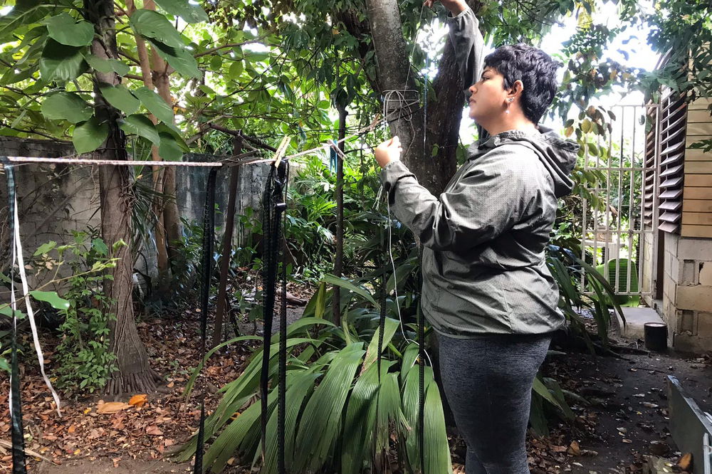 A woman dressed in gray pants and a rain jacket examines strips of film hanging on a laundry line in the backyard of a house. She is surrounded by green foliage.