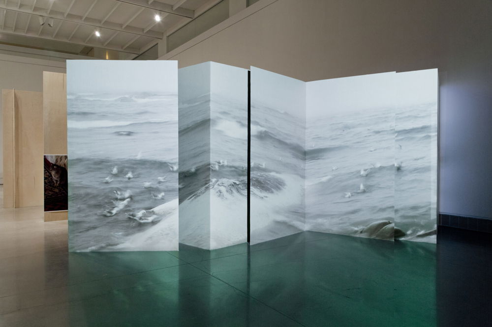 <em>Invocation For A Wandering Lake Part  I</em>, 2016. Projection on cardboard bifold panels, dimensions variable, Queens Museum, New York.