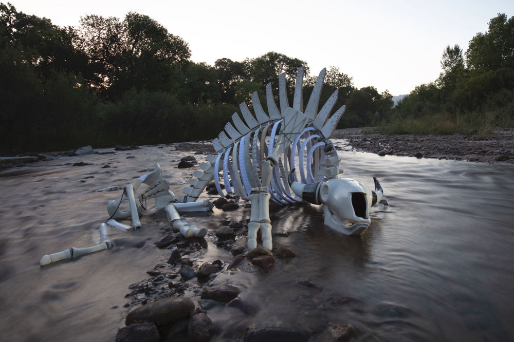 A life size ceramic buffalo skeleton sculpture rests on the middle of a shallow riverbed at sunrise.