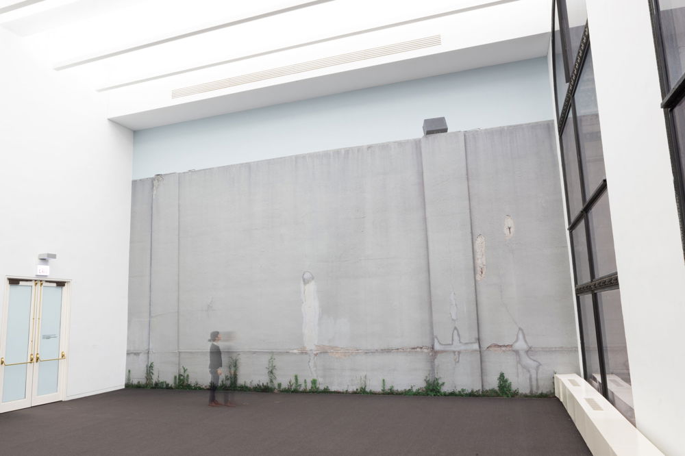 In a big, bright white room, a stained, cracked gray wall towers over a blurred figure. Plants grow where the wall meets the floor.